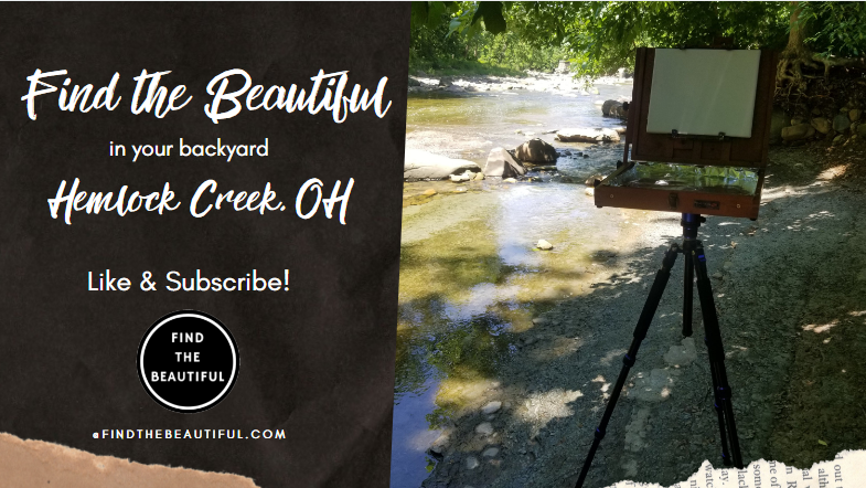 Find the Beautiful in Your Backyard - Hemlock Creek, Ohio -Cleveland Metroparks